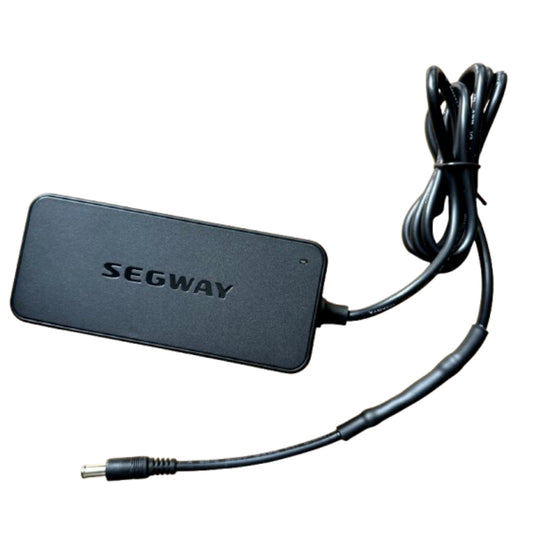 SEGWAY Overnight Li-ion Battery Charger For VANMOOF S2, X2. 71W. UK plug